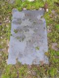 image of grave number 597098